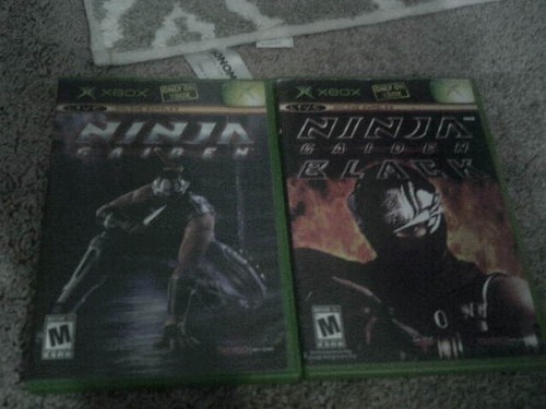 Ninja gaiden - ninja,