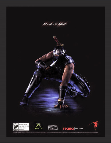 Poster parete ninja gaiden - poster,