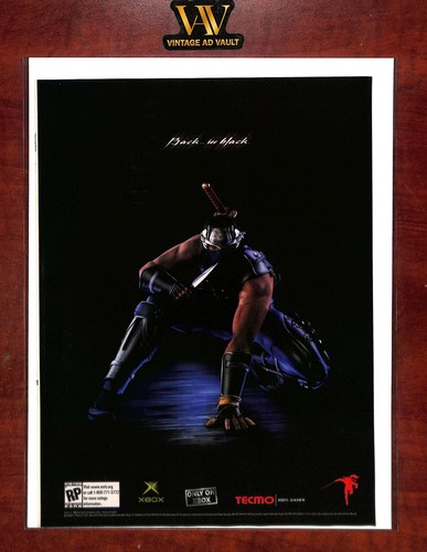 Ninja gaiden black print - print,